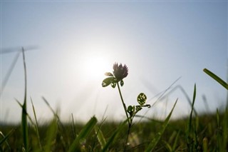 Cape Verde weather forecast