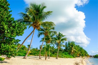 Cayman Islands weather forecast