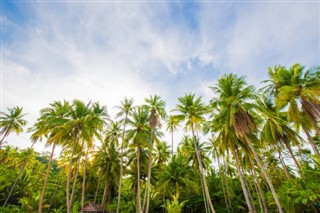 Cayman Islands weather forecast