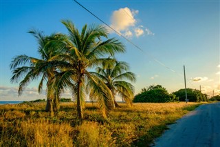 Cayman Islands weather forecast