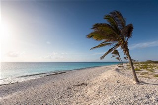 Cayman Islands weather forecast