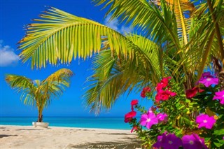 Cayman Islands weather forecast