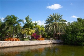 Cayman Islands weather forecast