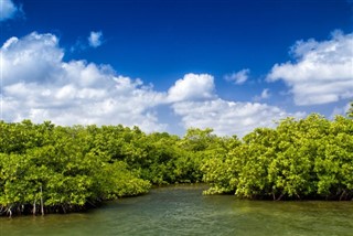 Cayman Islands weather forecast