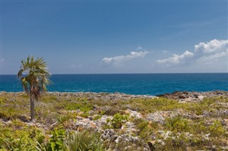 Cayman Islands weather forecast