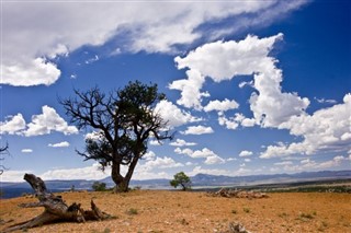 Central African Republic weather forecast