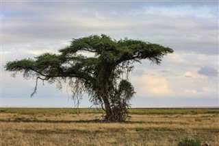 Chad weather forecast