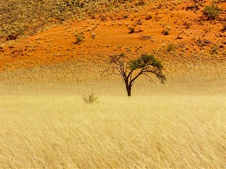 Chad weather forecast