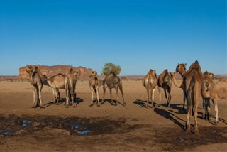 Chad weather forecast