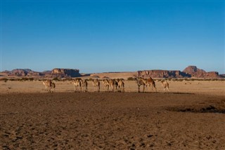 Chad weather forecast