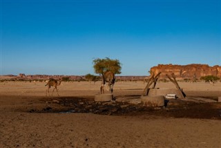 Chad weather forecast