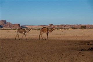 Chad weather forecast