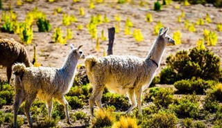 Chile pronóstico del tiempo