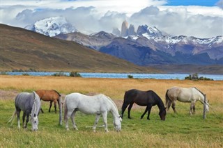 Chile weather forecast