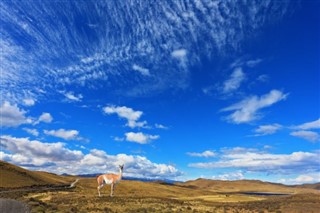 Chile prognoza pogody