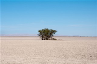 Chile weather forecast