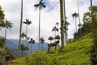 Colombia weather forecast