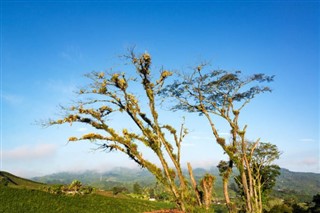 Colombia weather forecast