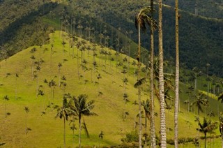 Colombia weather forecast