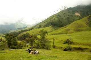 Colombia weather forecast