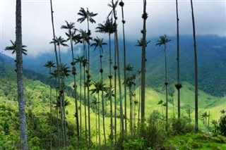 Colombia weather forecast