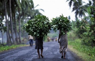 Comoros weather forecast