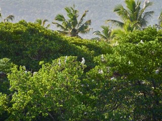 Comoros weather forecast