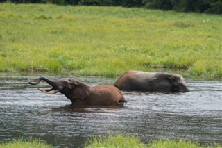 Congo, Democratic Republic weather forecast