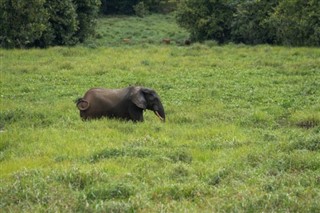 Congo, Democratic Republic weather forecast