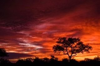 Congo, Democratic Republic weather forecast