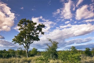 Congo, Democratic Republic weather forecast