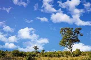 Congo, Democratic Republic weather forecast