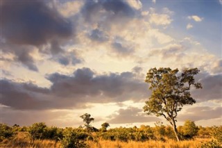 Congo, Democratic Republic weather forecast