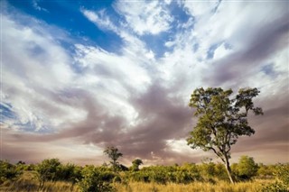 Congo, Democratic Republic weather forecast