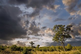 Congo, Democratic Republic weather forecast