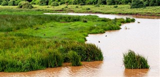 Congo, Democratic Republic weather forecast