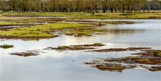 Congo, Democratic Republic weather forecast