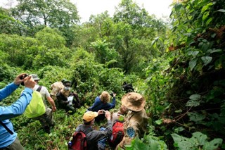 Congo, Democratic Republic weather forecast