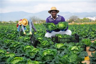 Congo, Democratic Republic weather forecast