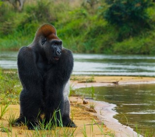 Congo, Democratische Republiek van de weersvoorspelling