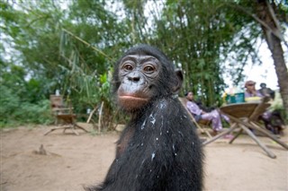 Congo, Democratic Republic weather forecast