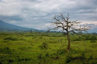 Congo, Republic weather forecast