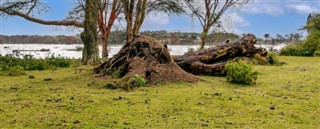 Congo, Republic weather forecast