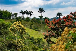 Congo, Republic weather forecast