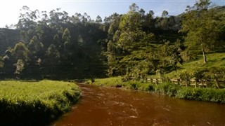 Congo, Republic weather forecast