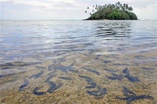 Cook Islands weather forecast