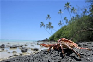 Cook Islands weather forecast