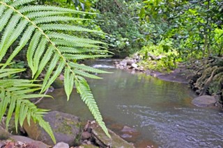 Cook Islands weather forecast