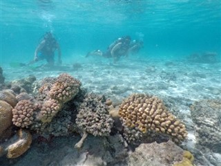 Cook Islands weather forecast