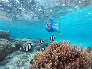 Cook Islands weather forecast